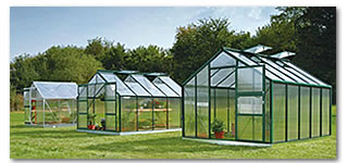 juliana greenhouse